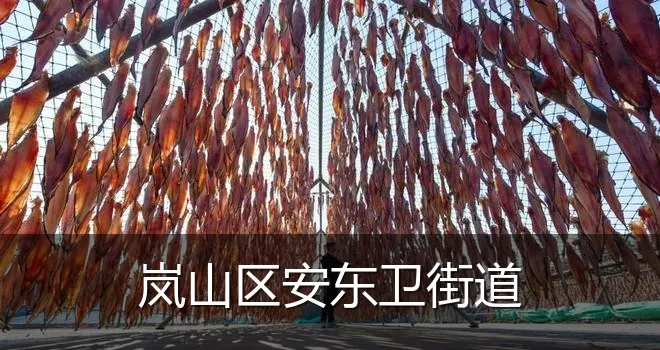 岚山区安东卫街道