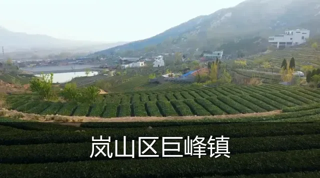 岚山区巨峰镇