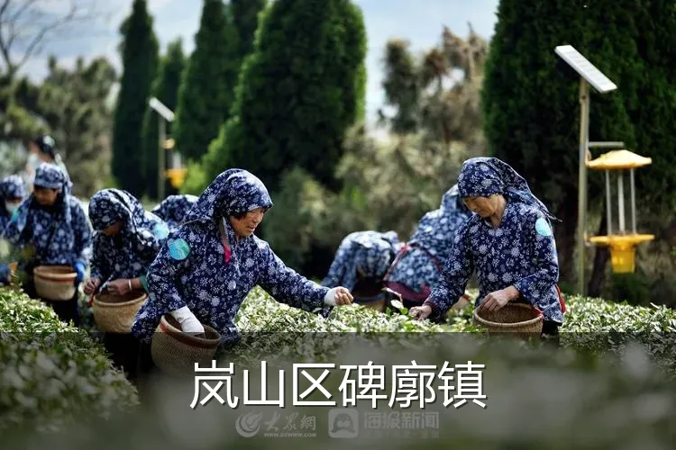 岚山区碑廓镇